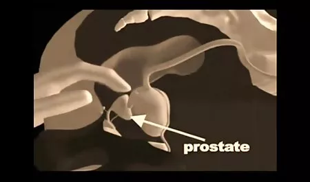 Tetőtér pet LáBFétis családi pornó harisnya videó