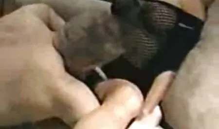 baszik egy hatalmas kakas családi baszás